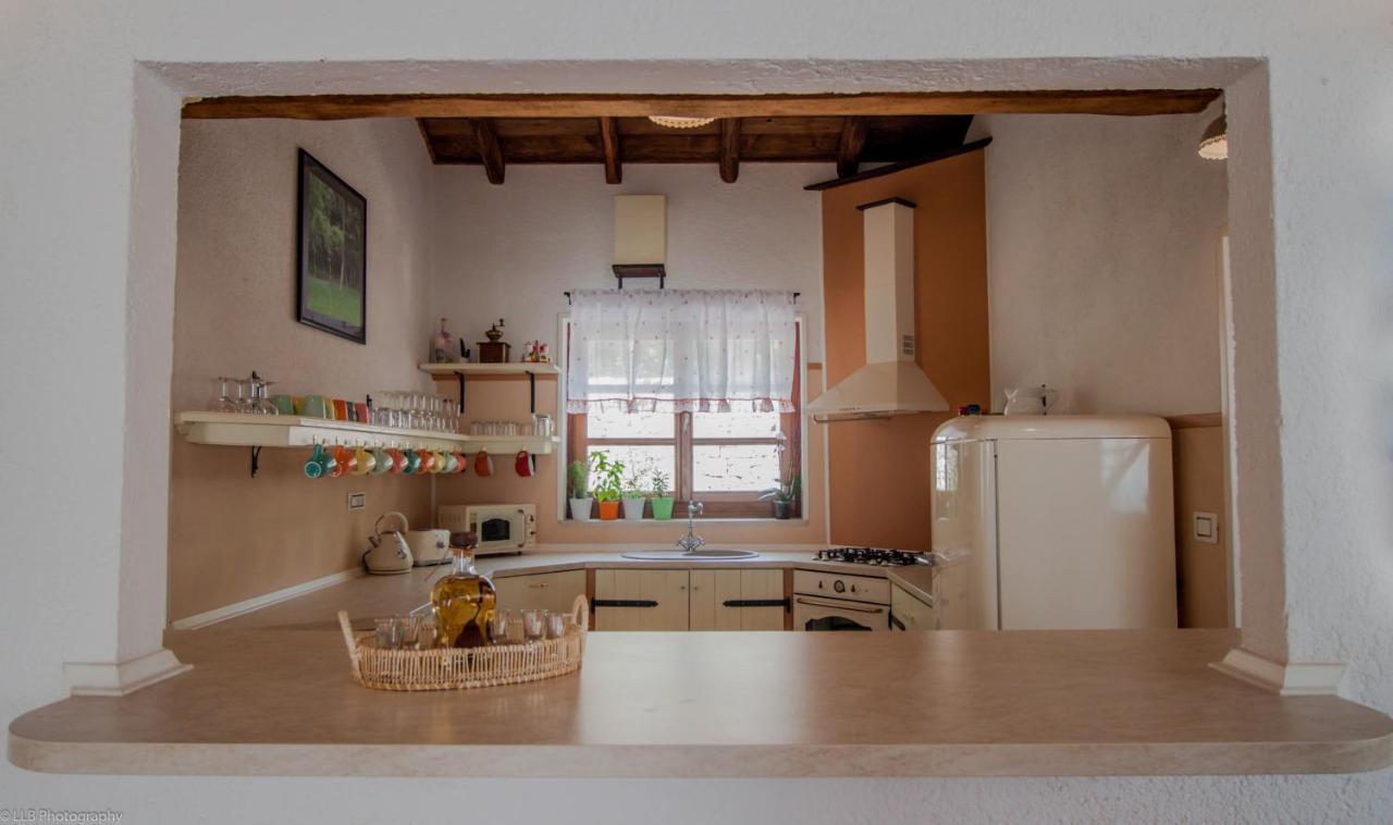 Family Villa Lipica With Private Pool And Jacuzzi Pazin Bagian luar foto